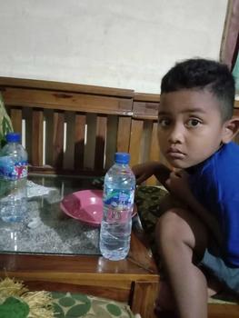 Product Review of Baju Kaos Anak Ubur Ikan Lele - Fashion Anak Perempuan Laki Cowok Cewek, Bahan Halus dan Lembut from w**y 2