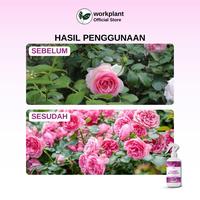 Gambar Workplant - Flower Nutrients Pupuk Bunga Lebat Tahan Rontok & Warna Cerah Untuk Semua Jenis Tanaman Hias Penyubur Bunga Cepat Mekar, Pupuk Tanaman Hias Rajin Berbunga, Aman untuk Semua Tanaman dari workplant official Kota Surabaya 5 Tokopedia