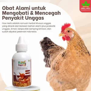 Flow Herb - Obat herbal alami atasi semua penyakit pada unggas ayam bebek entok angsa - Flow Herb