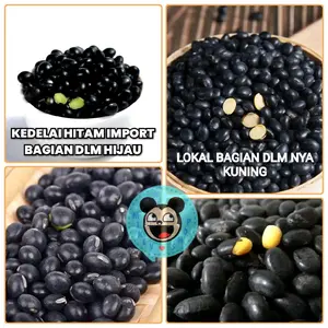 Kedelai Hitam MPASI ORGANIK 50gr /100g Black