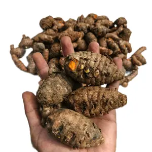 Empu Kunyit / Biang Kunyit 1 kg Herbal