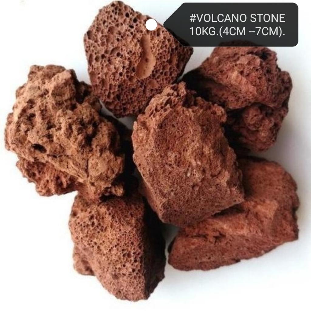 Volcanic Rock 10kg [XL] Lava Stone Volcano Aquarium Fish Ikan Akuarium Batu Gunung Berapi