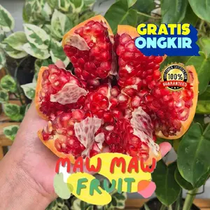 BUAH POME INDIA PREMIUM MERAH | DELIMA IMPOR | DELIMA MERAH