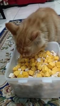 Product Review of [1kg Booster King] Booster Ayam Gemuk 1kg - Harga Borong untuk Mengemukkan Kucing Anda | Quality Cat Treats Freeze Dried Treats booster  gemuk from H**5 1