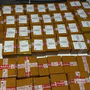 Pecking kardus paketan 12 pcs