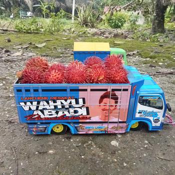 Product Review of minaitur truk oleng canter wahyu abadi biru full lampu leed bisa belok oleng gasruk from A** s**a 0