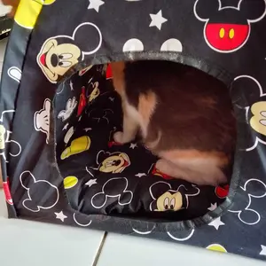 Tenda Kucing Jumbo Free Bantal Model Lipat Tempat Tidur Anabul Bisa Dicuci, Banyak Warna dan Motif Aerizoo anjing & kucing doll biru kasur anabul