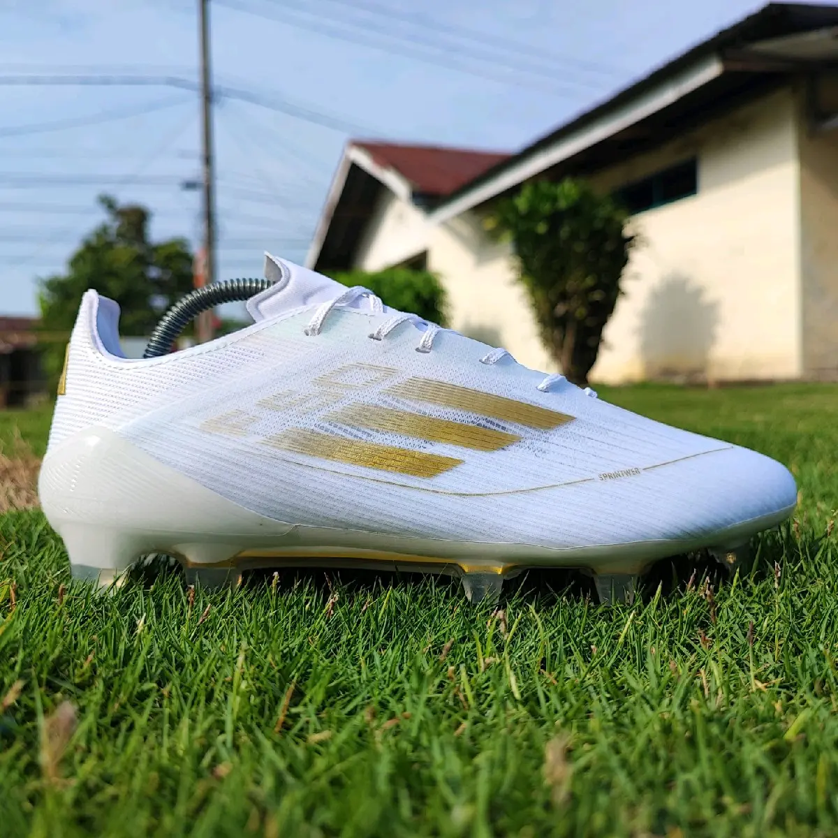 Sepatu Bola F50 Elite White Gold FG