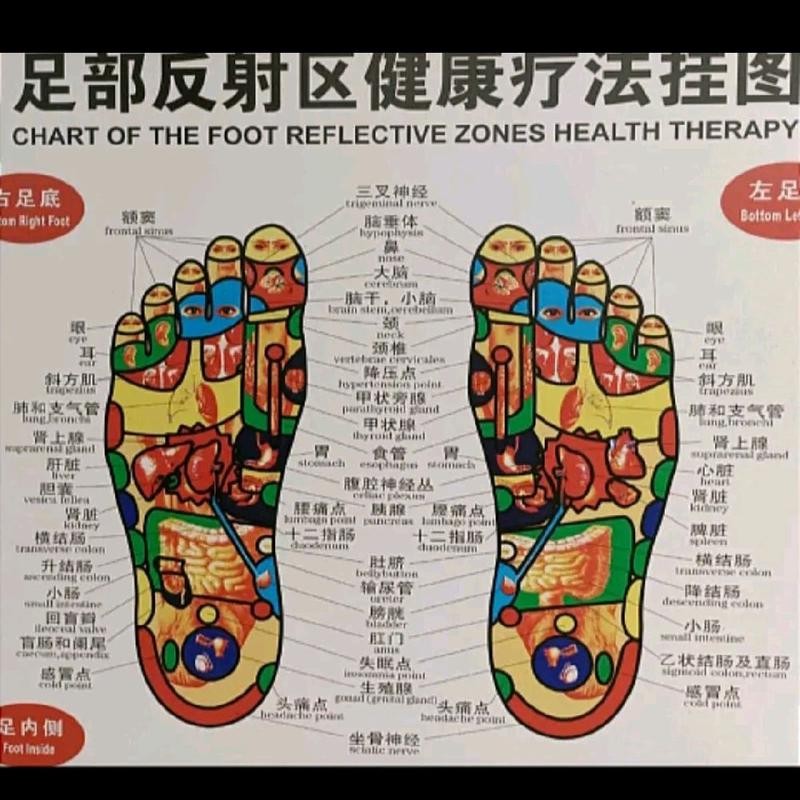 Anion Negative-ion Healthcare Striped Socks Blood circulation Leg 22-24cm School Womenswear Women Lady Reusable Fabric Health Soft Breathable Comfort 2