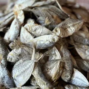 IKAN ASIN PIREK ATAU PETEK KECIL KUALITAS SUPER-HARGA PALING MURAH