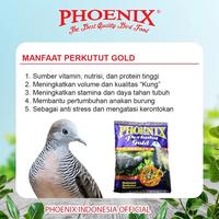Gambar Phoenix Perkutut Gold Murah Berkualitas dan Terpercaya se Indonesia - Perkutut dari Phoenix Petfood Indonesia Kab. Bogor 3 Tokopedia