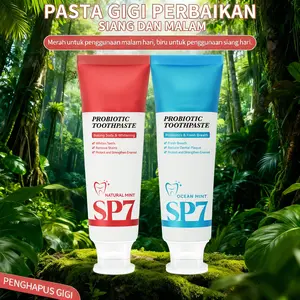 【Pengiriman Biru Merah Acak】Pasta Gigi Probiotic Mint Ringan untuk Kesegaran Napas dan Kebersihan Mulut