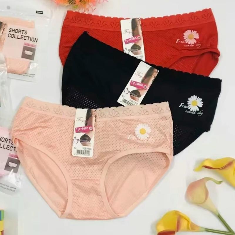  Combo 10 Quần Lót Thun Mát Thông Hơi Viền Ren   35-50Kg   - 5383 