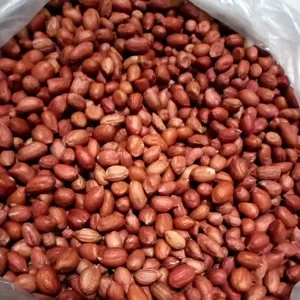 KACANG TANAH KUPAS MENTAH 1KG