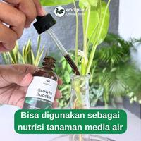 Gambar Workplant - Plant Growth Booster Serum Tanaman Hias Untuk Membantu Optimalkan Pertumbuhan & Mempercepat Tumbuh Tunas - Growth Booster dari workplant official Kota Surabaya 4 Tokopedia