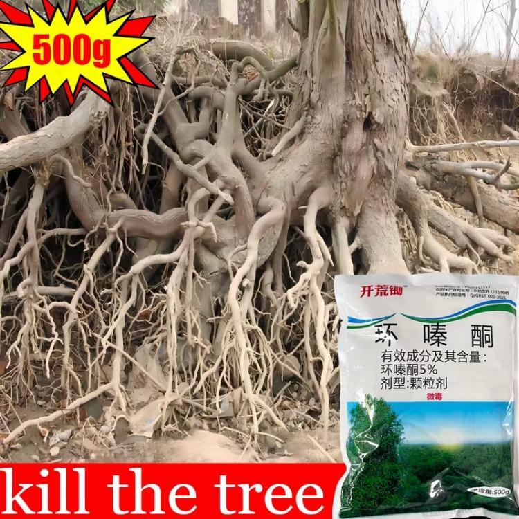 Straight to the rootracun rumput mati akar tree killer chemical ...
