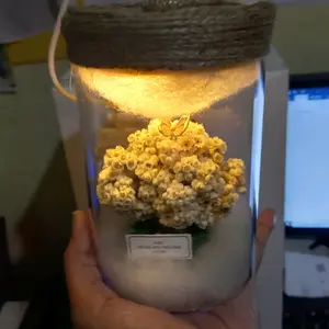 lampu edelwss jar usb mimpi free ucapan Putih