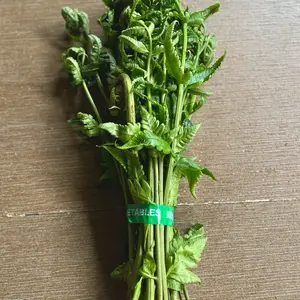 1 Ikat Daun Pucuk Pakis Segar Cocok untuk Sayur yang Sangat Enak - Bahan Sayur Hijau Segar