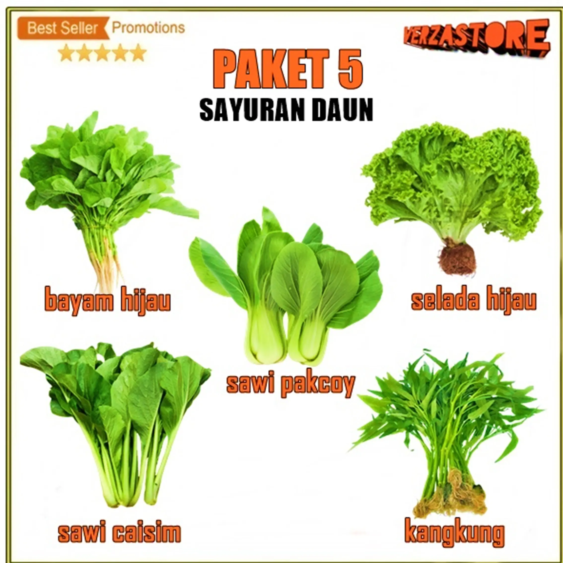 Biji Benih Paket Hemat 5 Macam Benih Sayuran Daun 30 Hari Panen