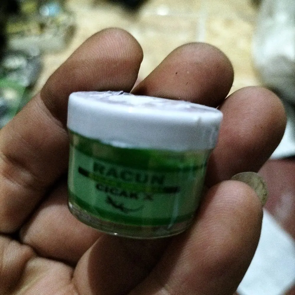 Pembasmi cicak ampuh tinggal oles sedikit di dinding