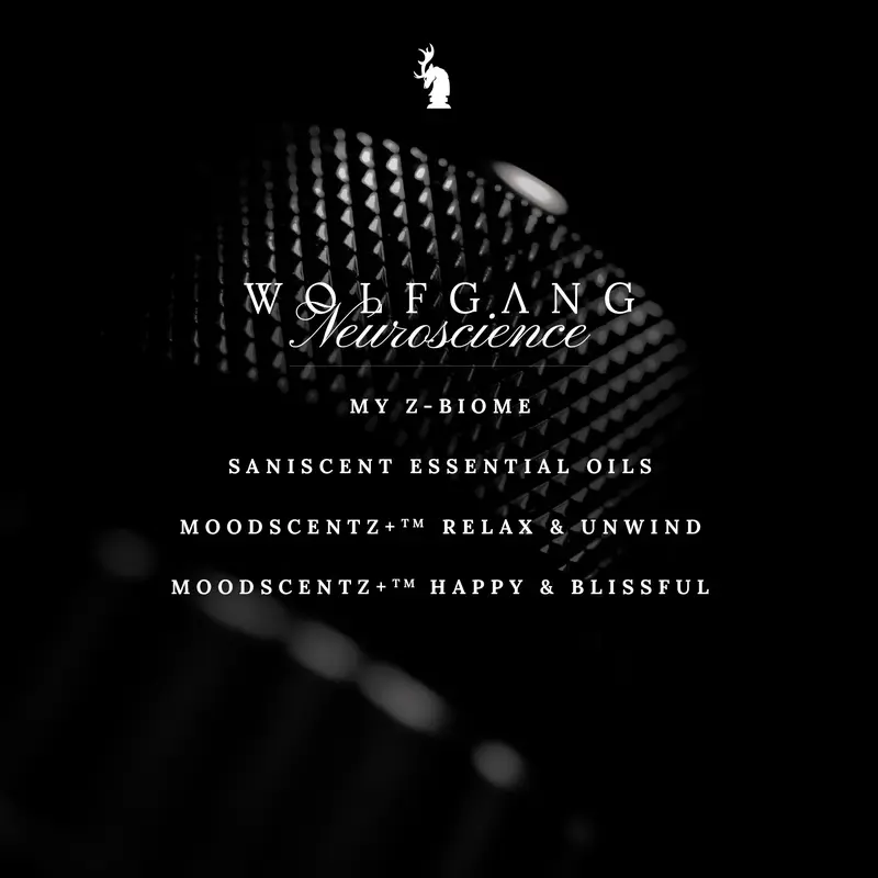 Blackstag Wolfgang 100ml Extrait De Perfume | Parfum Pria Tahan lama 6