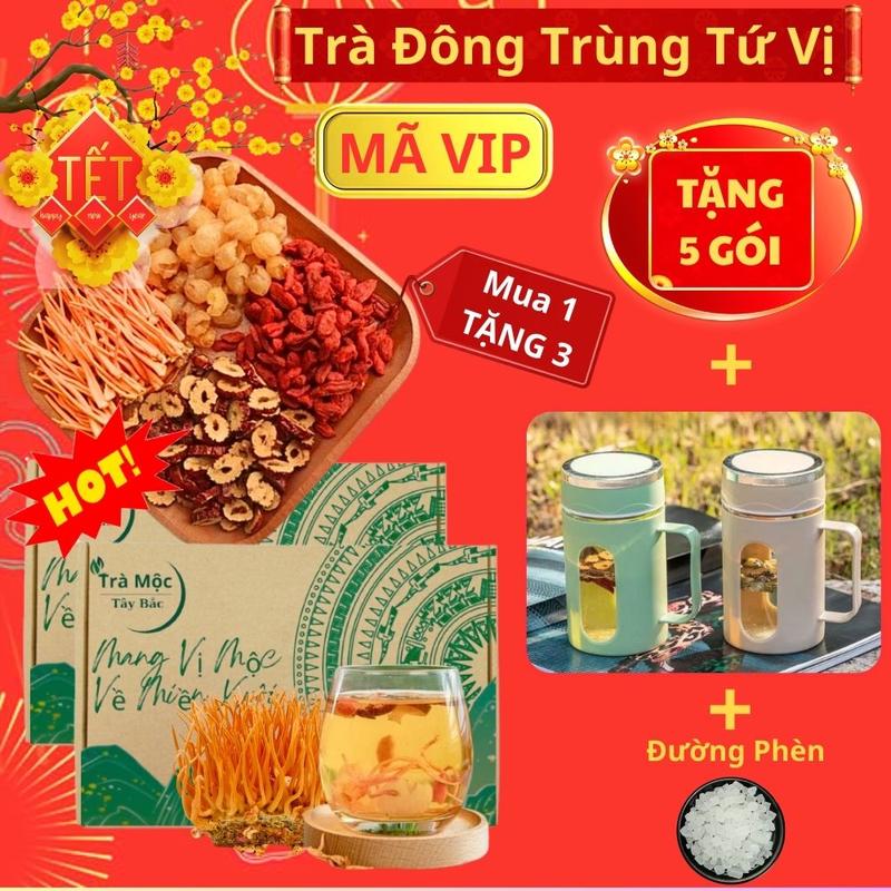 Loại 1 - Tặng 5 Gói - Tặng Ca + Đường Phèn Trà Đông Trùng Hạ Thảo 30 Gói Tứ Vị Tự Nhiên – Táo Đỏ Kỷ Tử Long Nhãn Sợi Đông Trùng Sấy Lạnh – Thơm Dễ Uống Dưỡng Thân Hằng Ngày – Trà Mộc Tây Bắc