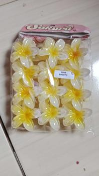 Product Review of Jepit kamboja 12 pcs jepit bunga kamboja ukuran 5 cm grosir jepit rambut korea from a** z** r** s**p 0