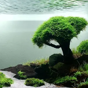 Kredit Hp via online di jam berapa pun