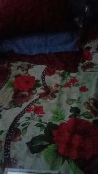 Product Review of Satu set lengkap - Lampu Tidur LED Warna Putih plus Fitting Tempat bohlam from R**🥀 0