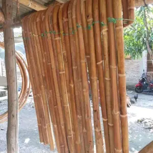 tongkat lansia. alat bantu jalan bahan rotan