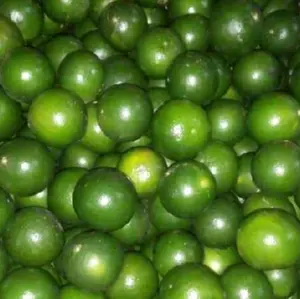 Jeruk Peras Khas Semboro Jember untuk Minuman Segar