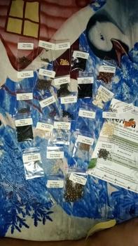 Product Review of Paket 25 Bibit Sayuran Mudah Tumbuh Benih Seribuan from k**9 3