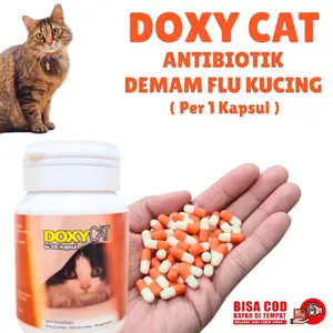 DOXY CAT ecer 1 kapsul Obat Flu Kucing DoxyCat Antibiotik Doxy 1 Kapsul Eceran