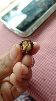 Product Review of Dking coklat almond isi 4 toples ( COD )  kacang almond utuh lapis coklat from T**s 3