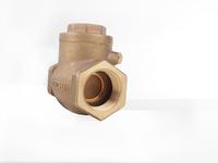 Gambar Swing Check Valve Kuningan d.1 1/2" Drat (RYUICHI) | Klep Tabok Brass Anti Aliran Balik (Backflow) Tahan Karat dari kalimas.online Kota Administrasi Jakarta Pusat 4 Tokopedia