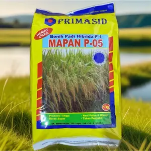 1KG Benih Padi Hibrida F1 Mapan P 05 Original 100% pilihan petani sukses bibit