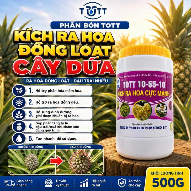 Kích Ra Hoa cây Tắc TOTT 10-55-10 hũ 500g giúp cây ra hoa đồng loạt, đậu trái…