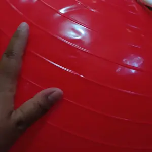 CHAMPS Gym Ball 55cm | Yoga Ball Pilates Fitness | Bola Senam Ibu Hamil Olahraga Otot Yoga Gym