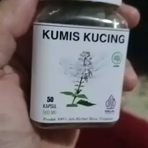 HERBALUV Kapsul Kumis Kucing Original Herbal ( Infeksi Saluran Kemih, Ginjal , Asam Urat)