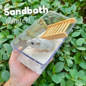 Hamster Acrylic Sand Tub Small | Tempat mandi hamster | Bath Tub Akrilik | Toilet Hamster Dwarf Acrylic
