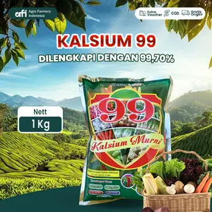 Kalsium Murni 99 MESH 3000 1KG Calbor Fertilizer Original untuk Ketimun Jagung Kacang Panjang Stroberi Wortel Seledri Melon Kubis Krisan Padi Tanaman Sayur dan Buah