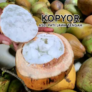 Kopyor Asli Pati berbagai size Dijamin Fresh Dan Bergaransi Kualitas Terbaik  Buah Kelapa
