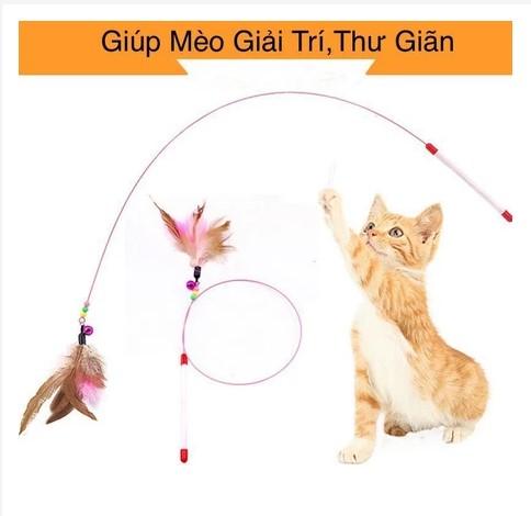 Cần Câu Cho Mèo Lông Vũ Dây Thép Bền Bỉ Giúp Mèo Vận Động Giảm Stress Phù Hợp…