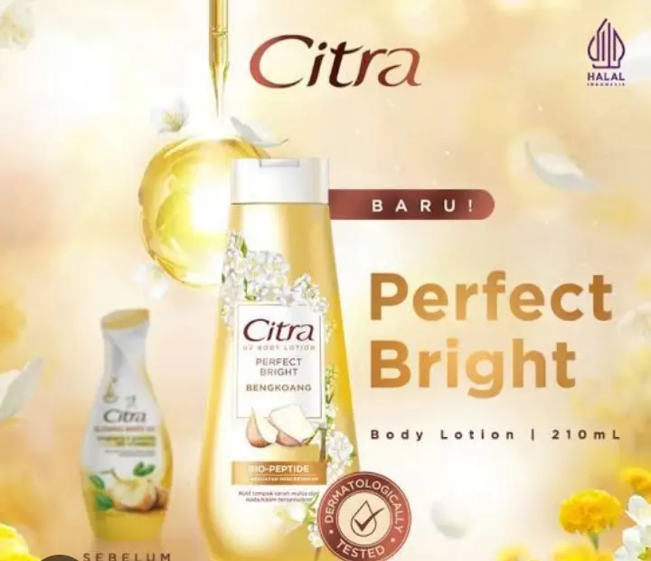 CITRA UV BODY LOTION PERFECT BRIGHT Bengkoang/ Body lotion citra/ Melembabkan// Mencerahkan/ Pencerah/ Kaki/ Tangan/ Body/ Kemasan Baru 0