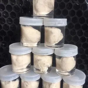 PULUT BURUNG 20 JEBAKAN BURUNG LEM BURUNG GETAH BENDO GETAH KARET JEBAK BURUNG LEM PERANGKAP BURUNG LEM BURUNG MURAH GETAH BURUNG LEM PEREKAT BURUNG HAMA LEGET PIKAT BURUNG PULUT BURUNG MURAH JEBAKAN BURUNG LEM JEBAK BURUNG GETAH BURUNG KECIL LEM PULUT