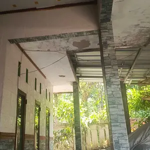 BIJI BENIH CABE MAHKOTA DOMPOL 100 BUTIR
