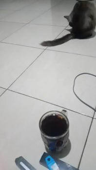 Product Review of Mesin Semprot Cat Elektrik Nirkabel Berkekuatan 600W/Mesin Semprot Cat/ Kompresor Semprot Cat/Alat Semprot Cat/Semprot Cat Tanpa Kabel from a**l t**f n**a 0
