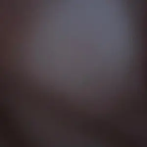 Belfoods Ayam Nanas Frozen - Brothermeatshop