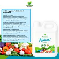 Gambar Pestisida Nabati 3-in-1 MANGGROW – Insektisida, Fungisida & Bakterisida Organik dari Manggrow Official Shop Kab. Sukoharjo 2 Tokopedia