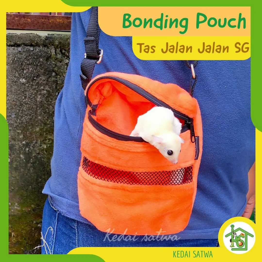 Bonding Pouch Tas Jalan jalan Tas Bermain Sugar Glider